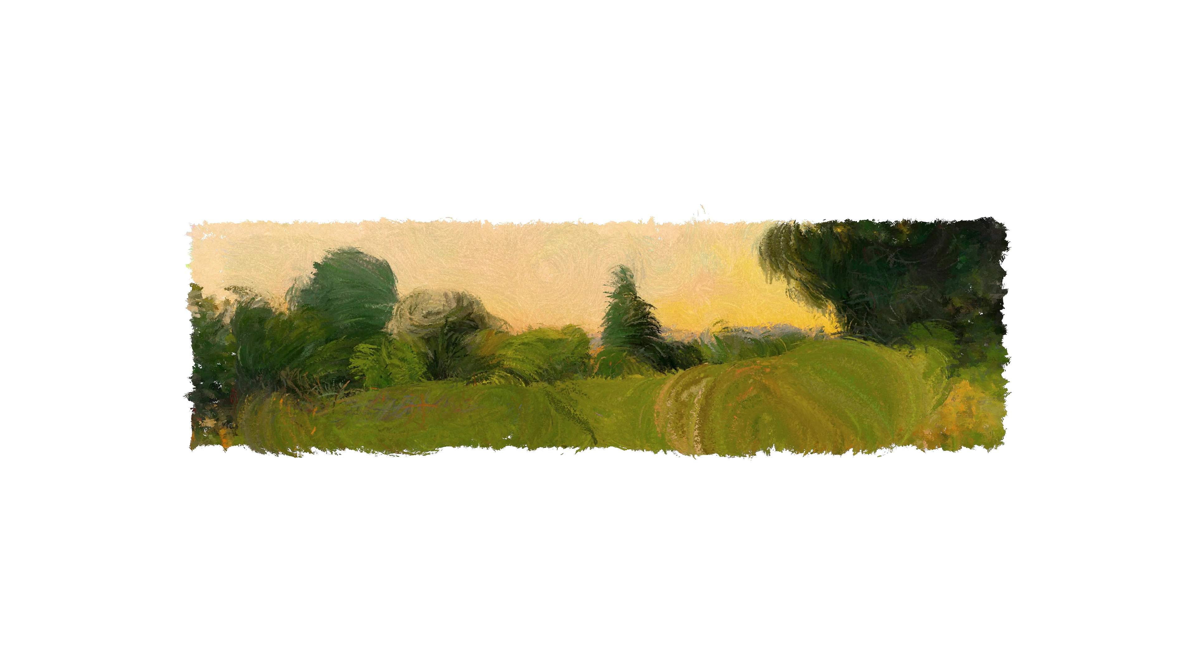 Studies of Artificial Landscapes